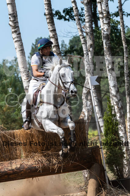 De Peelbergen (August 2020)