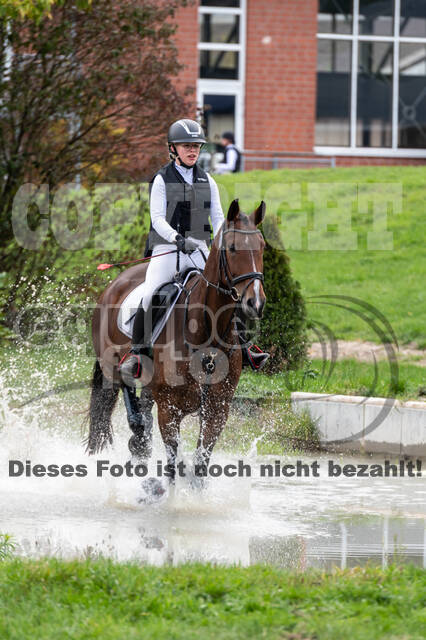 Goldene Schärpe 2020 - Pferde