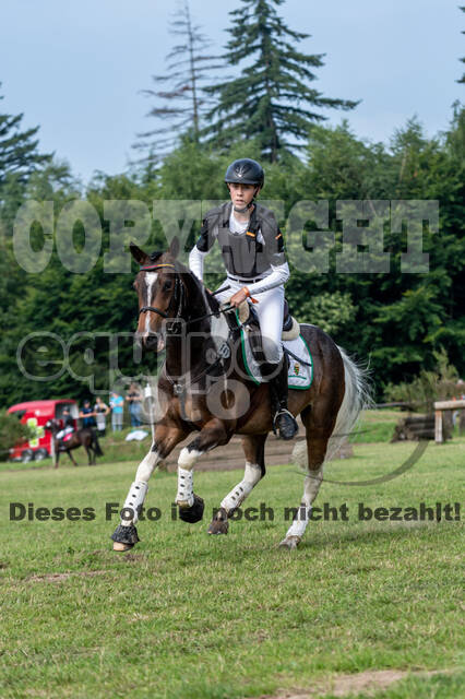 Goldene Schärpe 2021 - Ponys