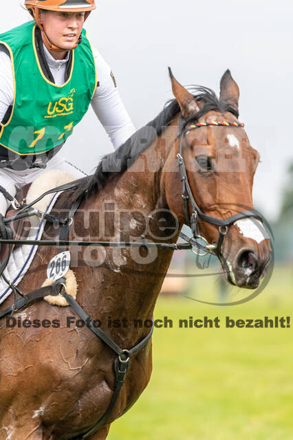 Deutsche Meisterschaft Vielseitigkeit (Luhmühlen)