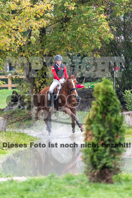 Goldene Schärpe 2020 - Pferde