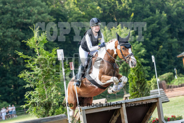 Goldene Schärpe 2021 - Ponys