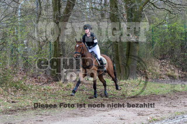 Eventing im Pferdesportzentrum Rheinland (Late Entry 14.03.2022)