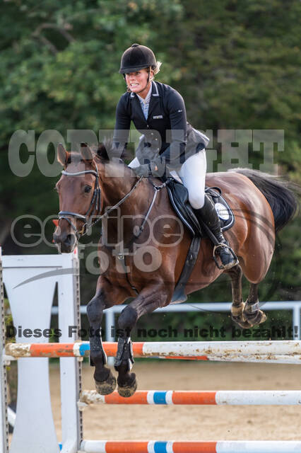 RFV Dinslaken-Hiesfeld (Herbstturnier)