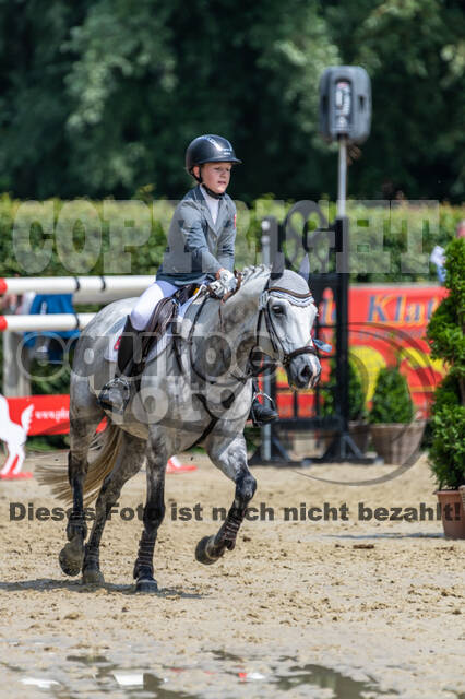Goldene Schärpe 2021 - Ponys