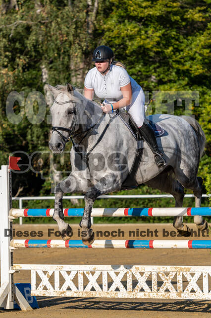 RFV Dinslaken-Hiesfeld (Herbstturnier)