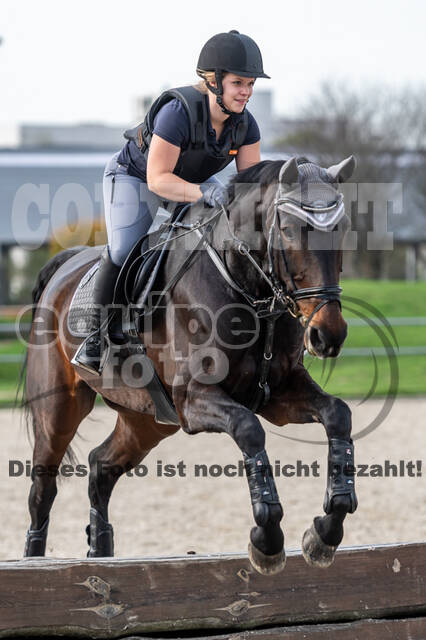 IGV Lehrgang der Sieger der Cups mit Frank Ostholt