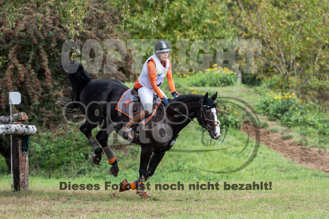 Vielseitigkeit RSV Wesel Obrighoven (26.+27.09.2020)