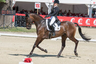 FEI European Championship Eventing 2017
