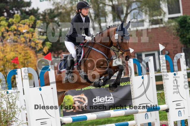 Goldene Schärpe 2020 - Pferde