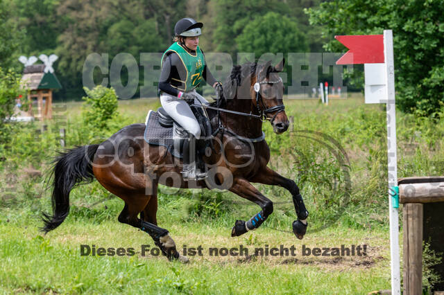 Westerstede Horse Trials (10.-13.06.2021)