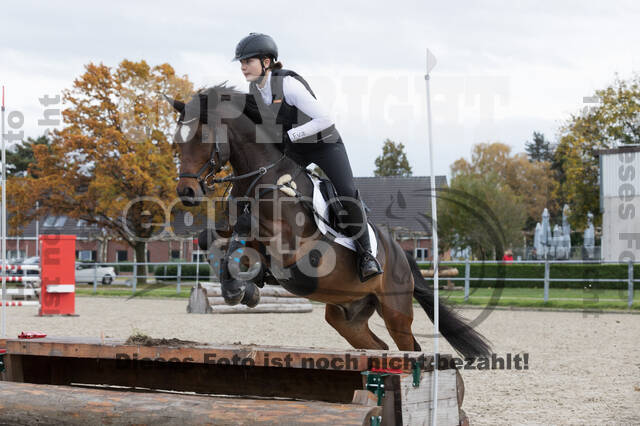 IGV Lehrgang der Sieger der Cups mit Frank Ostholt