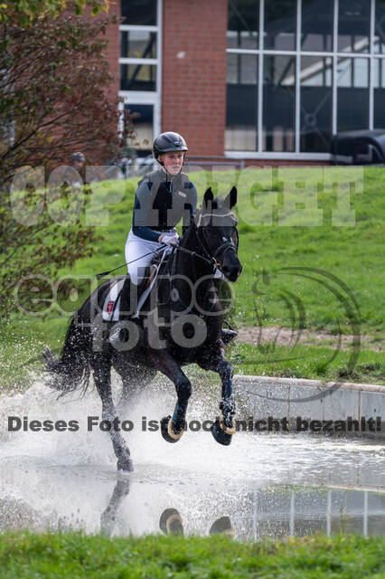 Goldene Schärpe 2020 - Pferde