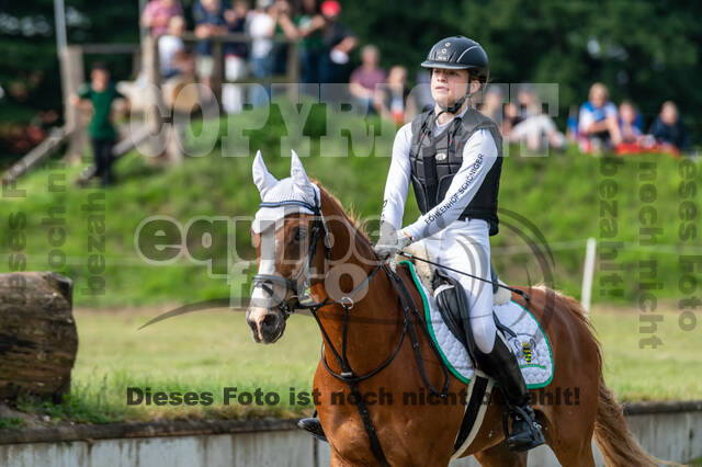 Goldene Schärpe 2021 - Ponys