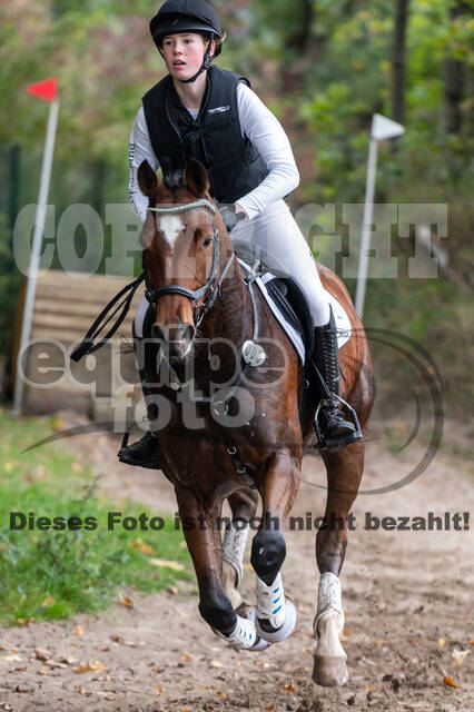 Goldene Schärpe 2020 - Pferde