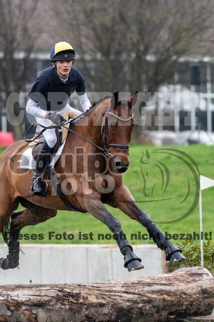 Goldene Schärpe 2020 - Pferde