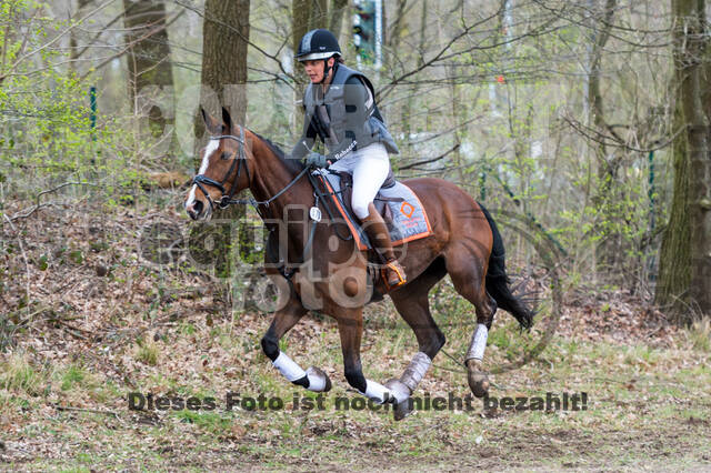 Eventing im Pferdesportzentrum Rheinland (Late Entry 14.03.2022)