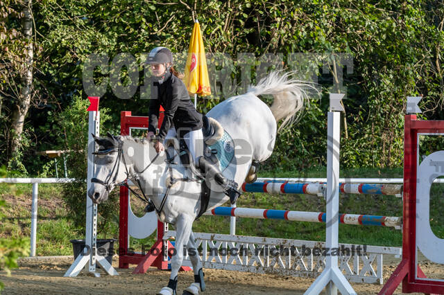 RFV Dinslaken-Hiesfeld (Herbstturnier)