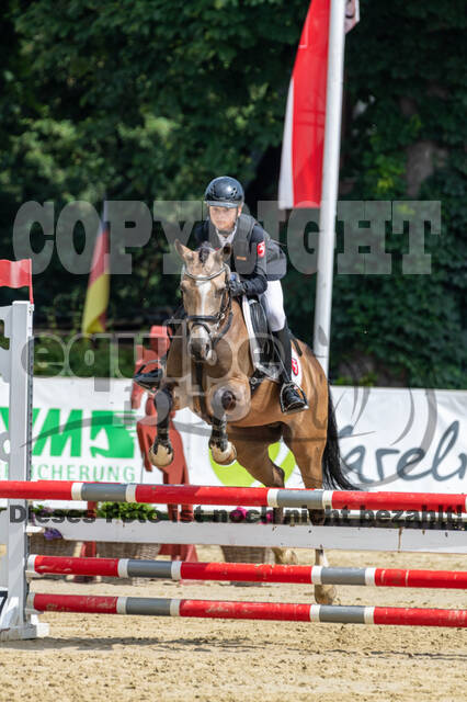Goldene Schärpe 2021 - Ponys