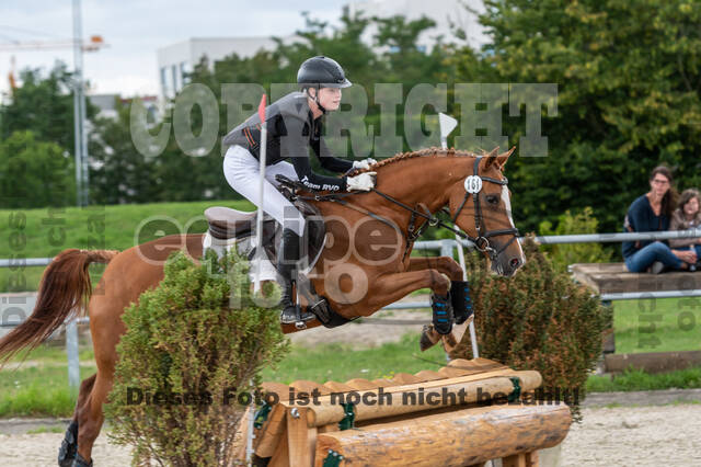 Late-Entry-Vielseitigkeit Langenfeld (06.+07.07.2020)