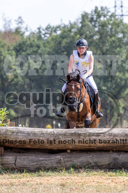 Late-Entry Vielseitigkeit Hamminkeln/Wesel (01.+02.08.2020)