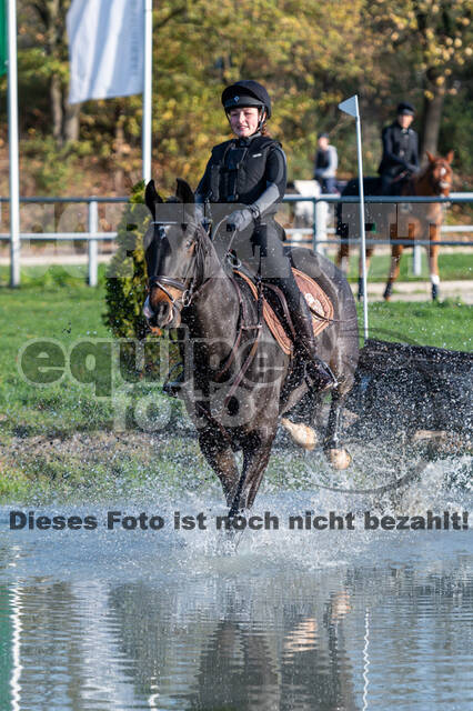 IGV Lehrgang der Sieger der Cups mit Frank Ostholt