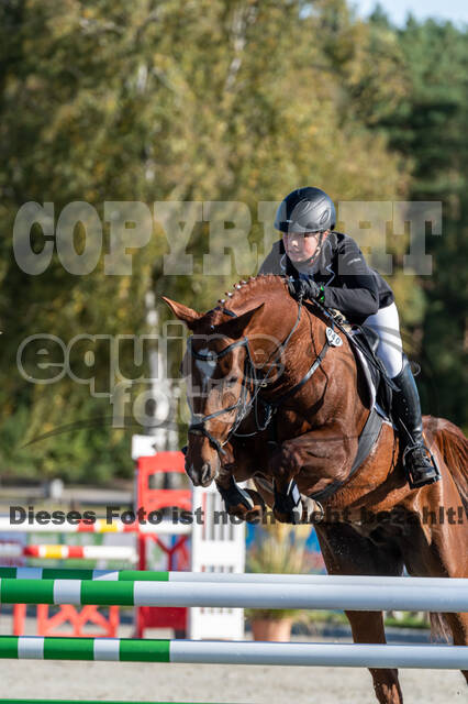 Deutsche Meisterschaft Vielseitigkeit (Luhmühlen)