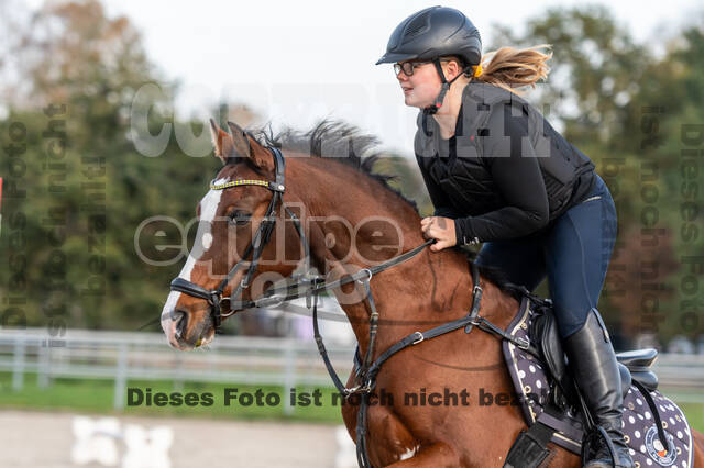 IGV Lehrgang der Sieger der Cups mit Frank Ostholt