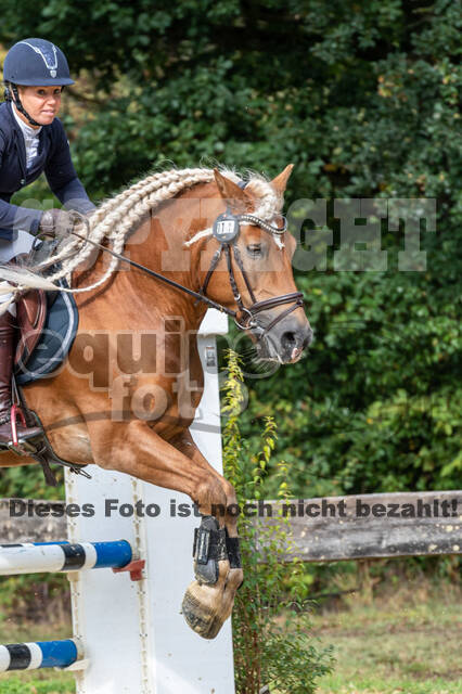 Vielseitigkeit RSV Wesel Obrighoven (26.+27.09.2020)