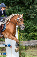 Vielseitigkeit RSV Wesel Obrighoven (26.+27.09.2020)