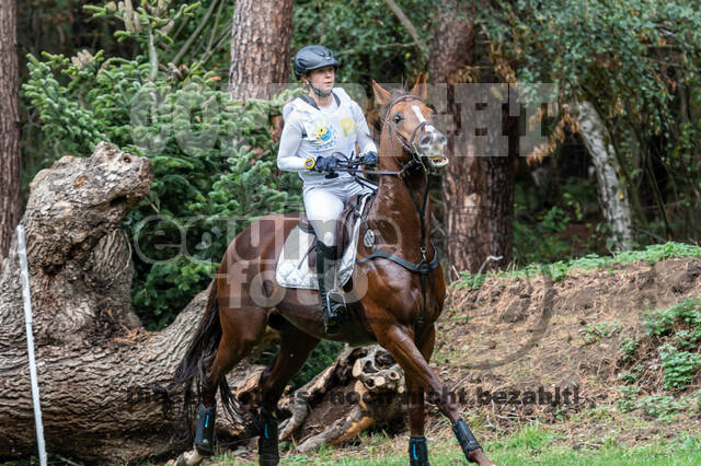 Vielseitigkeit RSV Wesel Obrighoven (26.+27.09.2020)