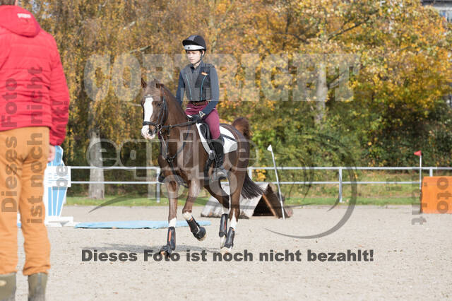 IGV Lehrgang der Sieger der Cups mit Frank Ostholt