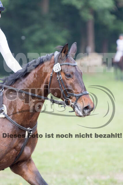 Vielseitigkeitsturnier ZRFV von Lützow Hamminkeln