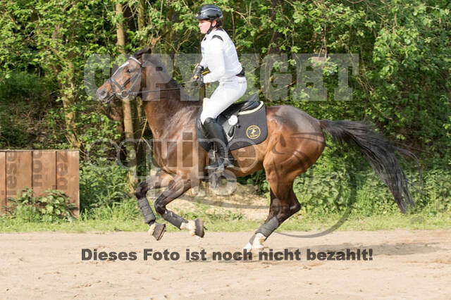 Vielseitigkeitsturnier ZRFV von Lützow Hamminkeln