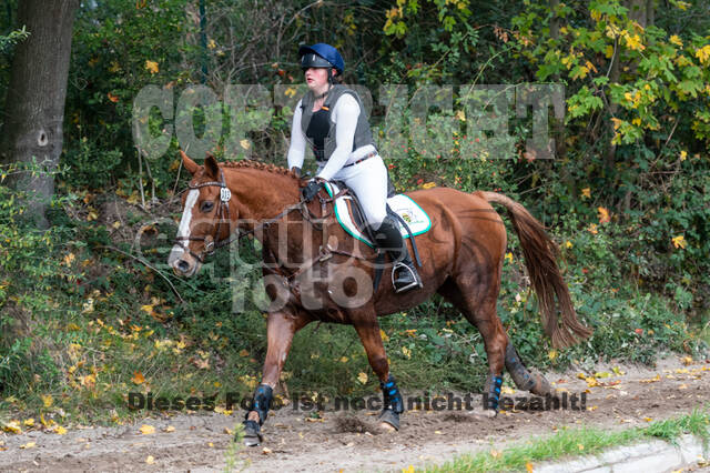 Goldene Schärpe 2020 - Pferde