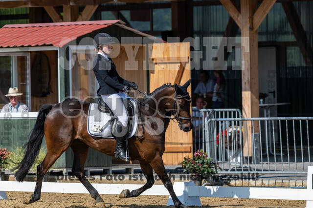 Westerstede Horse Trials 2021
