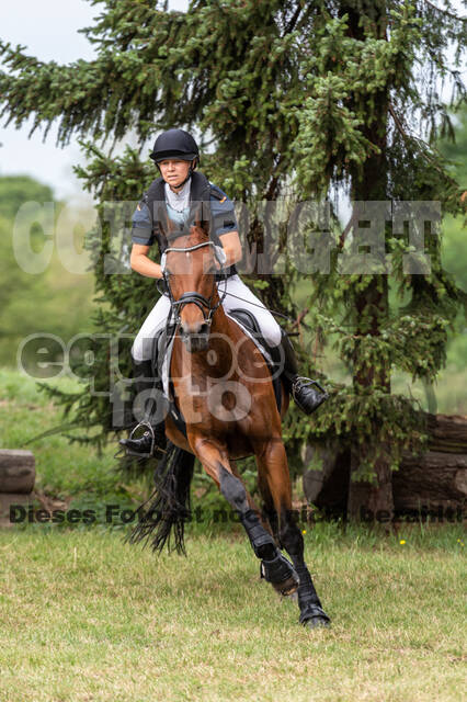 Late-Entry-Vielseitigkeit Langenfeld (11.+13./14.06.2020)