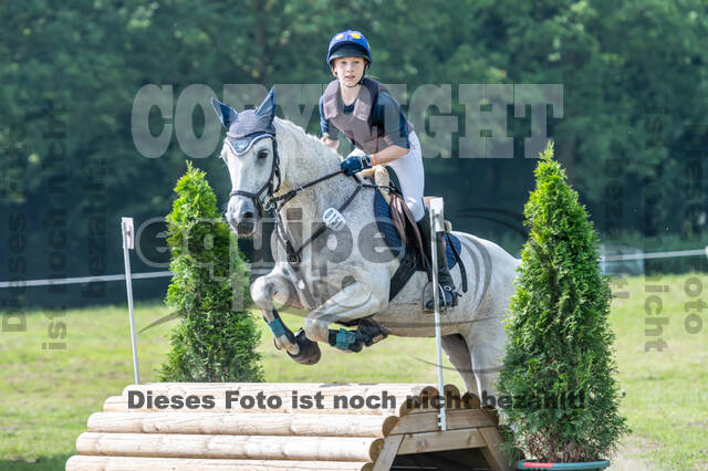 Goldene Schärpe 2021 - Ponys