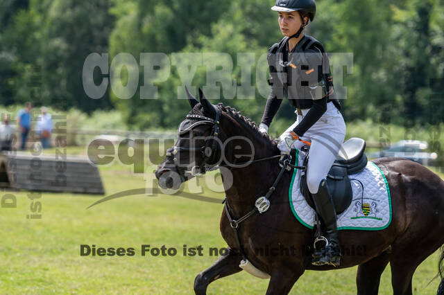 Goldene Schärpe 2021 - Ponys