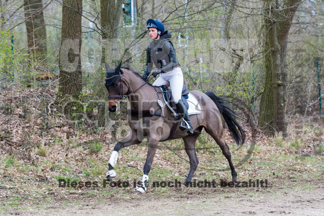 Eventing im Pferdesportzentrum Rheinland (Late Entry 14.03.2022)
