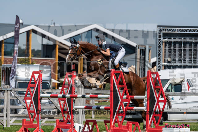 Kronenberg - De Peelbergen (August 2020)