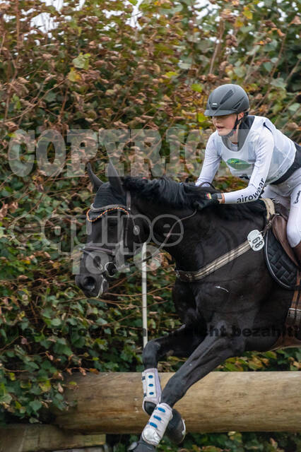 Deutsche Meisterschaft Vielseitigkeit (Luhmühlen)