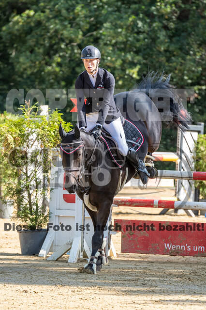 RFV Dinslaken-Hiesfeld (Herbstturnier)