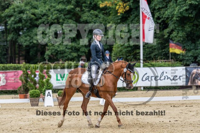 Goldene Schärpe 2021 - Ponys