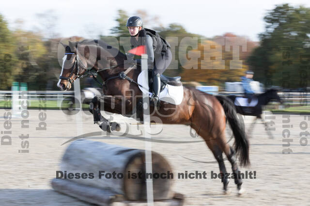 IGV Lehrgang der Sieger der Cups mit Frank Ostholt