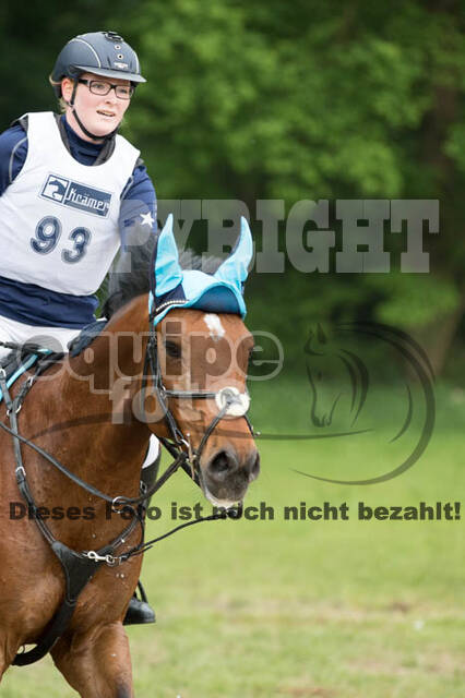 Vielseitigkeitsturnier ZRFV von Lützow Hamminkeln