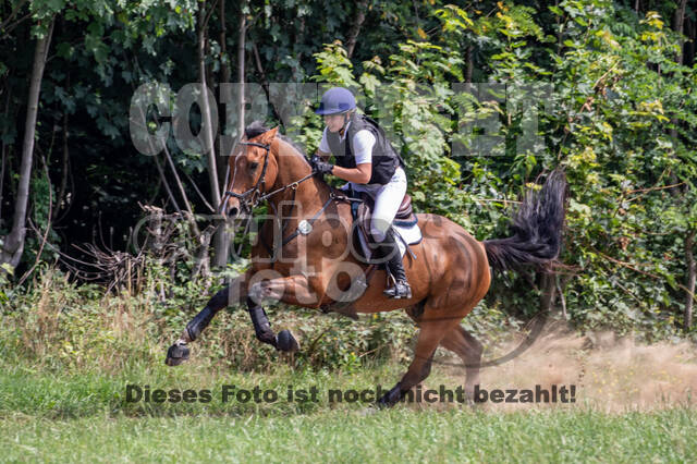 Late-Entry-Vielseitigkeit Gahlen (18.07.2020)