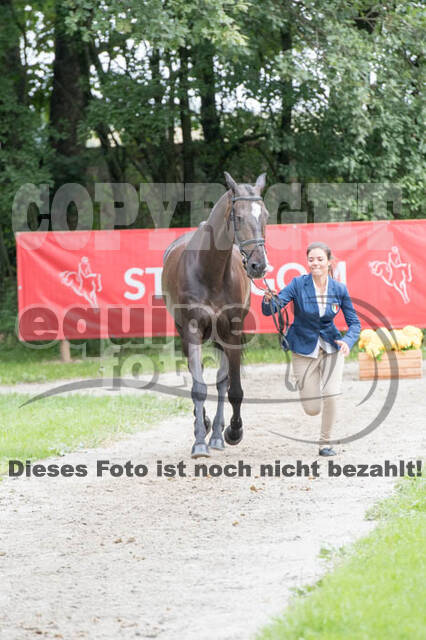 FEI European Championship