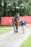 FEI European Championship