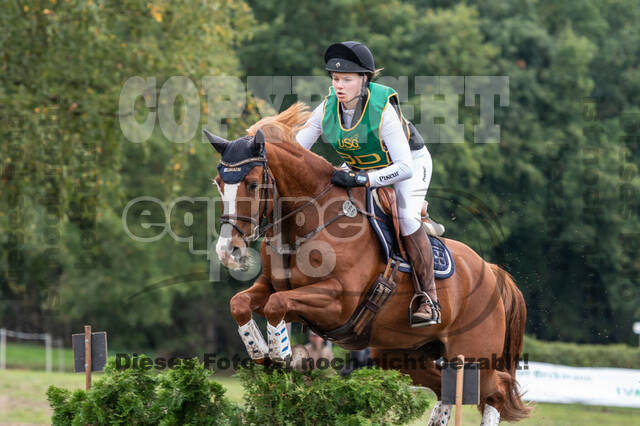 Vielseitigkeit RSV Wesel Obrighoven (26.+27.09.2020)